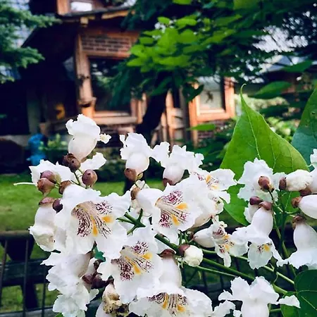 Przylesie Farm stay