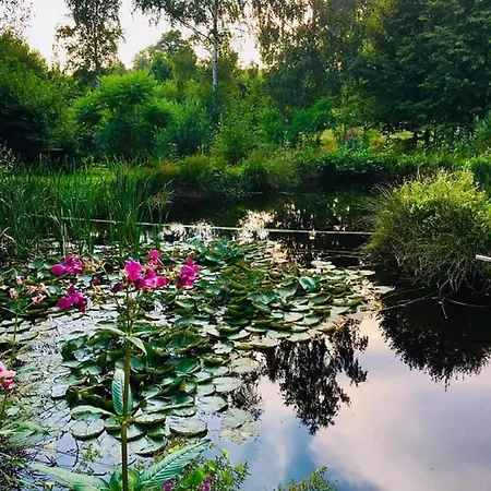 Gospodarstwo agroturystyczne Przylesie Wolimierz