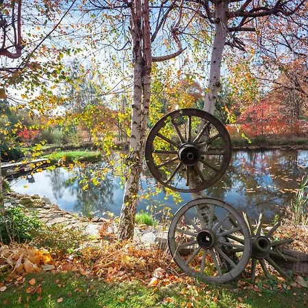 Gospodarstwo agroturystyczne Przylesie *
