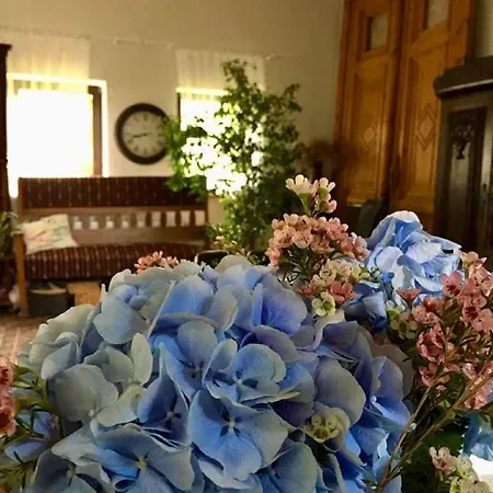 Przylesie * Wolimierz