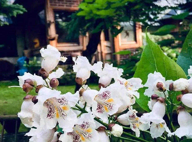 Przylesie ファームステイ