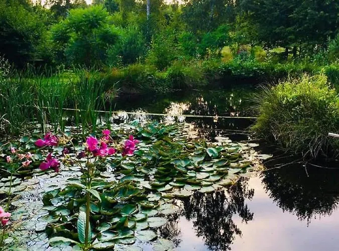 Κατάλυμα σε φάρμα Przylesie Wolimierz