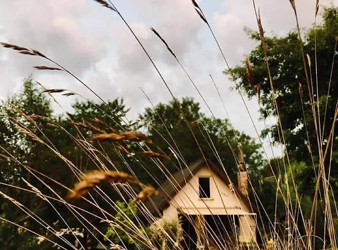 Przylesie Κατάλυμα σε φάρμα Wolimierz